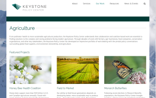 Keystone policy area page
